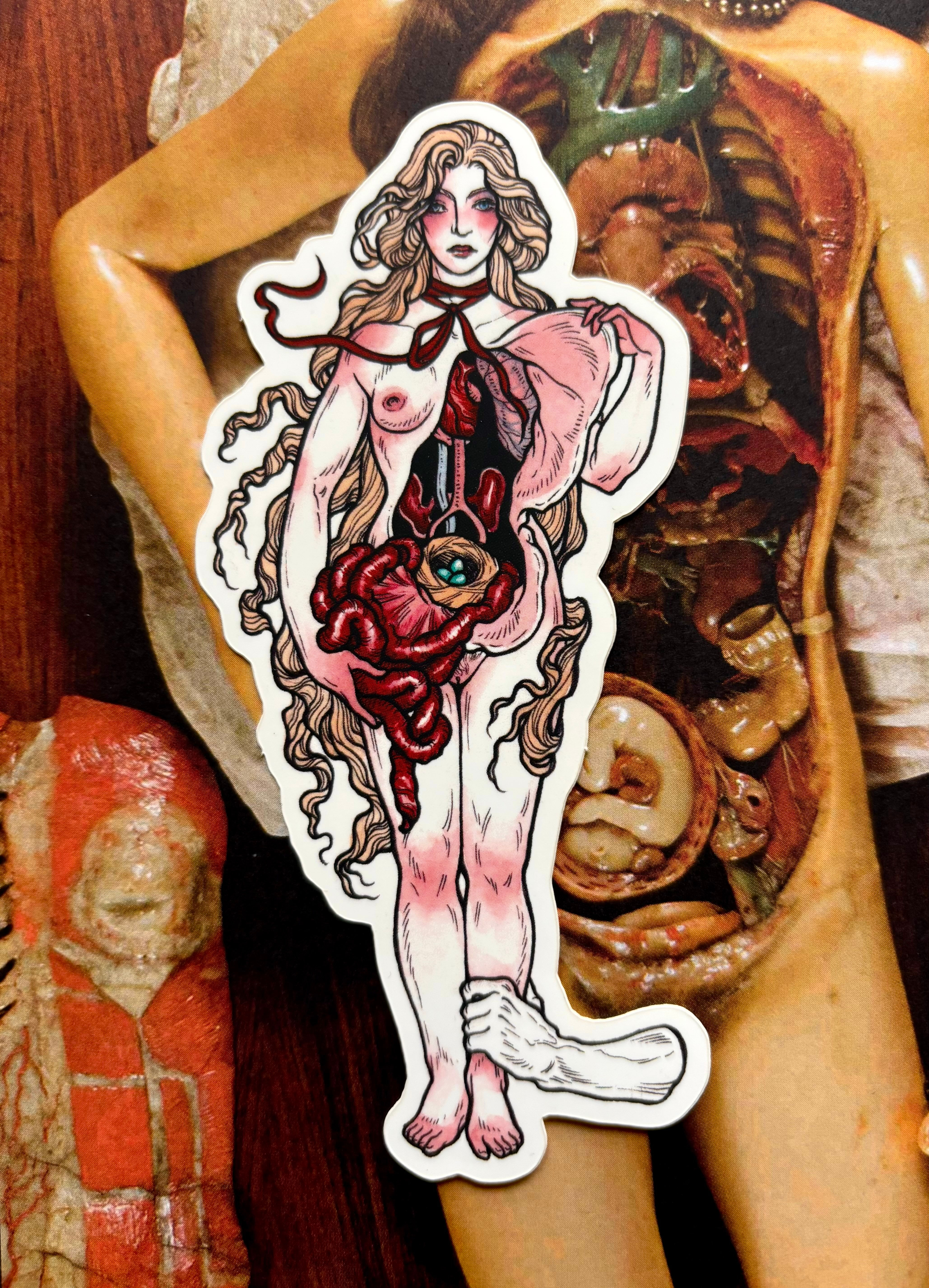 Anatomical Venus Vinyl Sticker