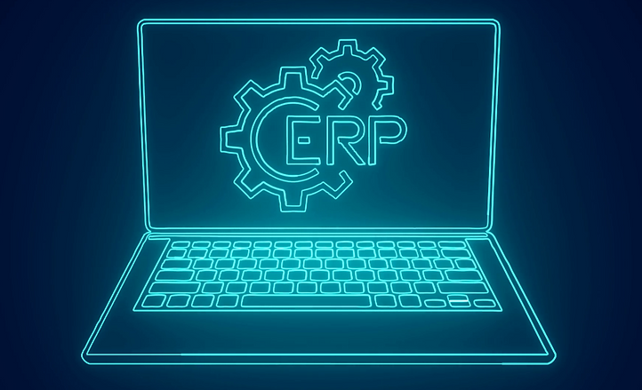 ERP image 2.PNG