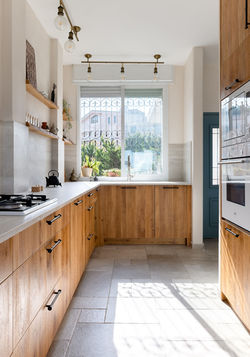 אינה אמיר (4)