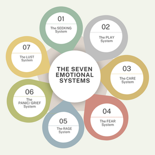 Circular diagram of "The Seven Emotional Systems": SEEKING, PLAY, CARE, FEAR, RAGE, PANIC/GRIEF, LUST. Each labeled section has a unique color.