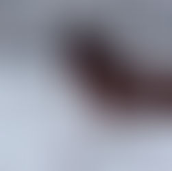 5 Steps to Prepare Your Horse for Winter