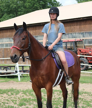 Woman riding a bay horse