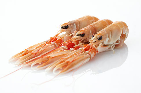 langoustine.jpg