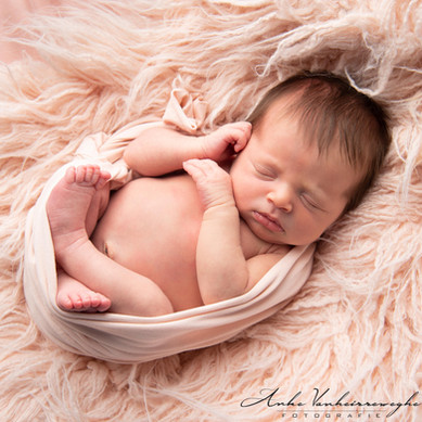 Féline newborn baby fotografie babyfoto geboorte geboren pasgeboren geboortekaartje newbornreportage Foto Anke Zulte Waregem Sint-Eloois-Vijve Deinze Kruishoutem Dentergem Oeselgem Oudenaarde Stulens Yves Vervaecke Foto Yannick roze schapenvel wikkeldoek dochter meisje