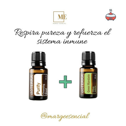 Activemos nuestro cerebro límbico