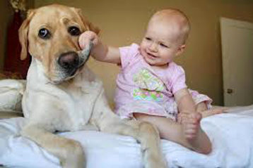 chien et bébé