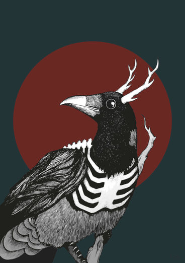 varis, kortti, korttisarja, illustration, digital art, vektorigrafiikka, kuvitus, kuvittaja, graafinen suunnittelu, nina aitta, ninaaitta