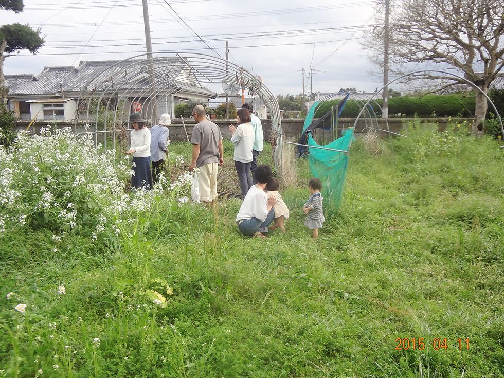 DSC03427.JPG