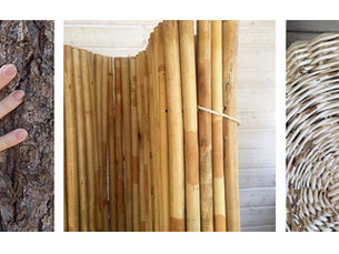 Biofilia sekä biofilinen suunnittelu ja niiden vaikutus elämään