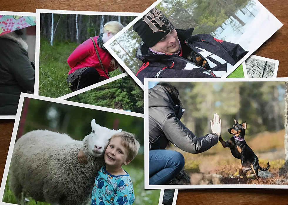Pikkukuva: TunneVoima -vuorovaikutuskortit