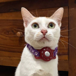 Sponsor Winter for $180/mth