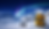 penguin-photo-portrait.png
