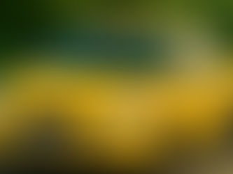 Çubuk’un Tüm Caddelerine En Hızlı Ulaşım Rehberi – Çubuk Taksi ile 7/24 Yanınızdayız