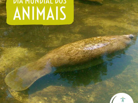 Dia Mundial dos Animais: 04 de outubro