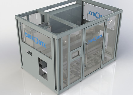 a dual SCARA robot case packer from Blue Onyx Systems