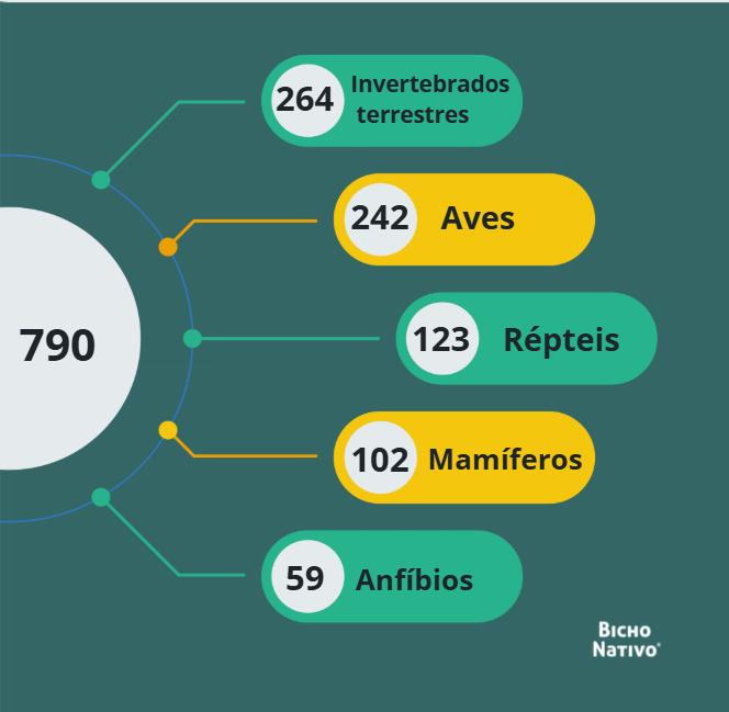 Distribuição numérica dos grupos da fauna brasileira ameaçados de extinção.