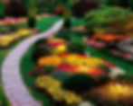 Trees-and-plants- | Delray Beach | A