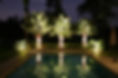 landscape-lighting-3.jpg