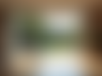 Seamless Interior and Exterior Integration: Crafting Cohesive Spaces