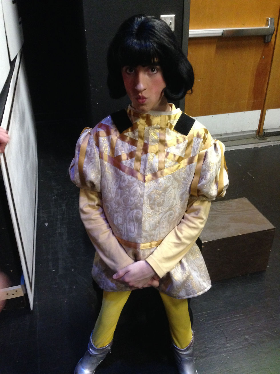 Shrek the Musical