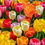 Thumbnail: Tulip Bouquet