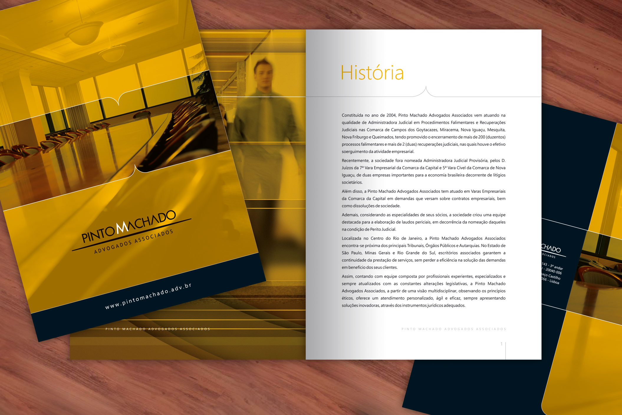 FOLDER INSTITUCIONAL PINTO MACHADO