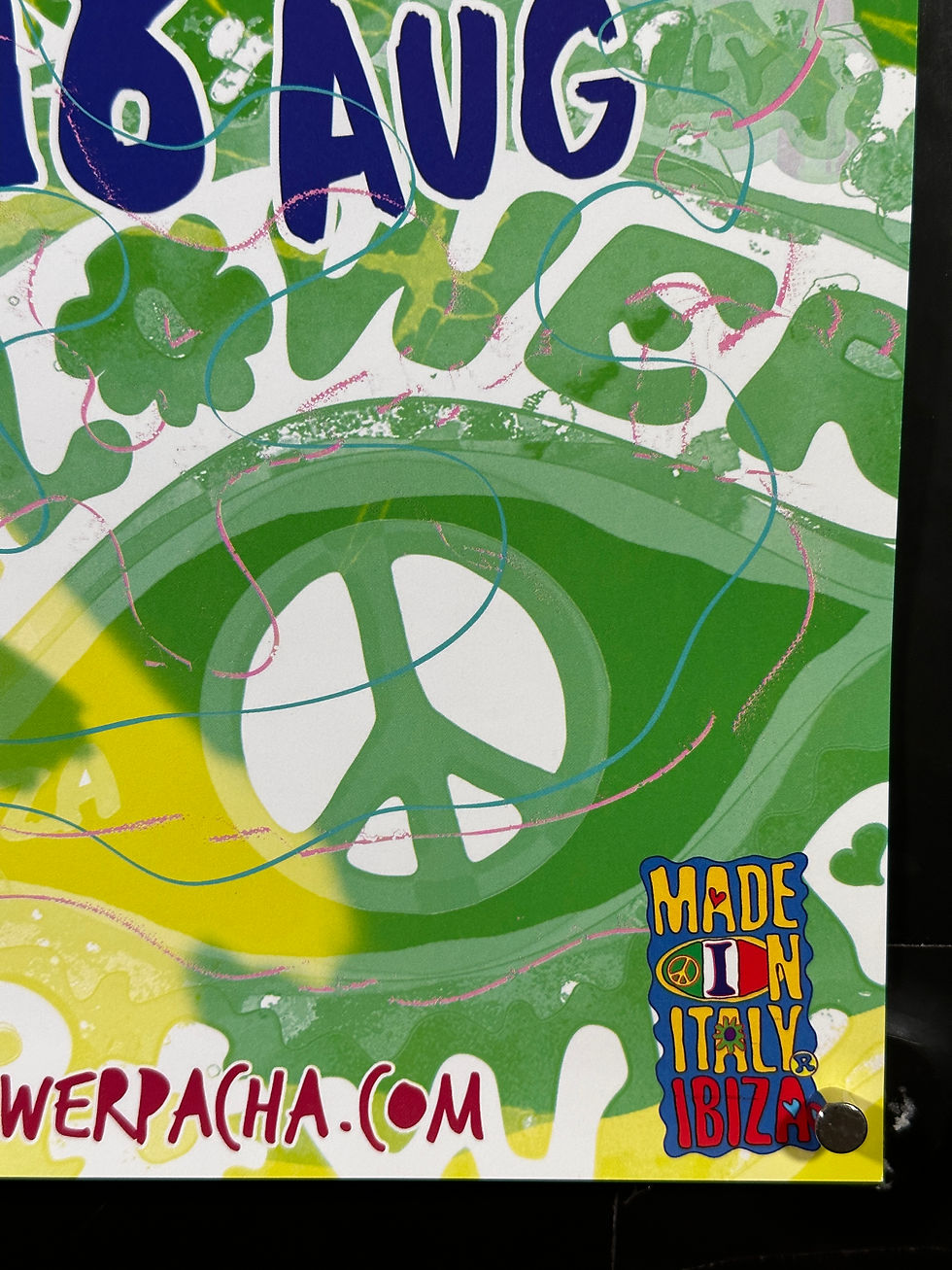 Thumbnail: Pacha Flower Power (2015)