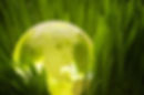 iStock_000007185445Medium.jpg