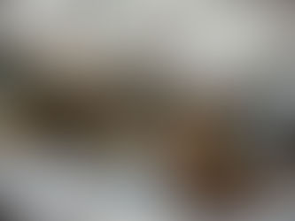 椅子取り合戦には勝て・・・にゃい