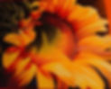 78A7BFF0-BC69-47C2-BFFE-48AC9224CE66_1_201_a.jpeg