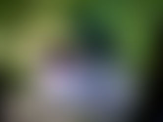 Beach City Wilderness Area, Ohio