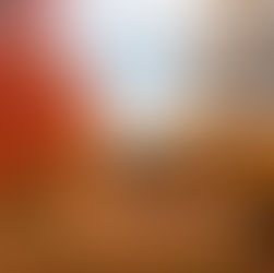 A Season of Harvest: Reflections Beyond Borders