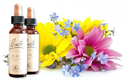 flores de bach.jpg