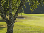 golf1.png