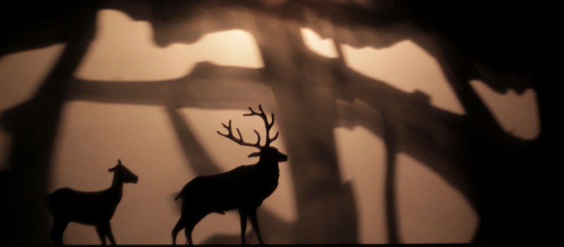 Théâtre d'ombres - Compagnie le théâtre des Ombres