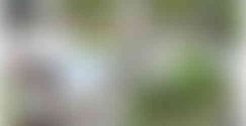 Vues du projet Grand Chemin à Montreuil