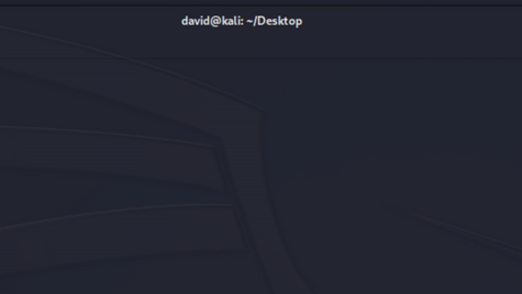Automating Kali Updates With a Desktop Icon