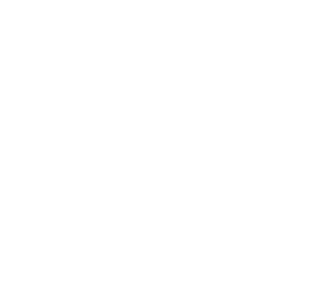 לוגו אורשי