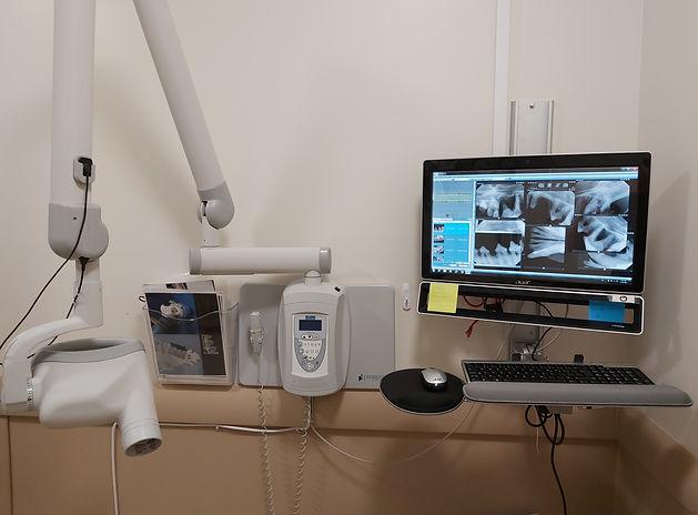 Verzijlenberg Veterinary Hospital, Digital Dental Radiography