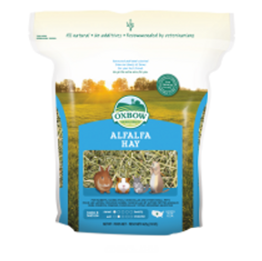 Alfalfa Hay.jpg