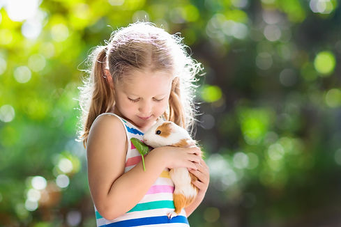 Shutterstock, Child playing with guinea