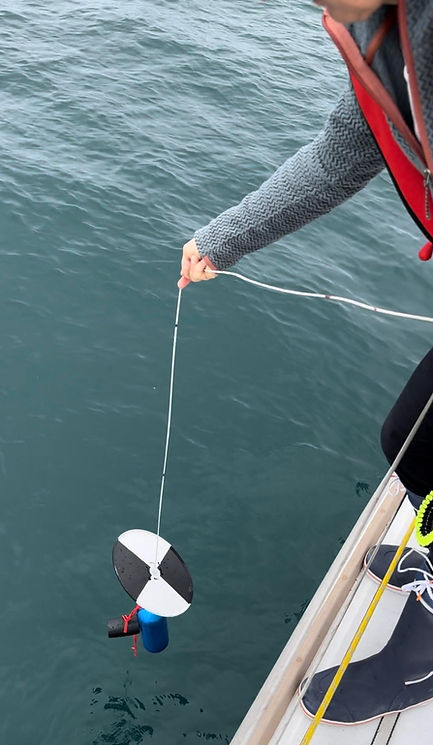 Secchi Disk.jpg