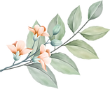 Plantas 2.png