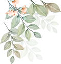 Plantas 1.png