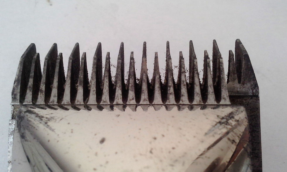 Miniatura: Antigua Máquina De Cortar Pelo W. R. Kirschbaum