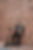 pexels-mike-jones-9461309.jpg