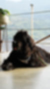 DSC07154.JPG