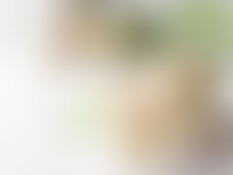 ¿Qué tantas maneras conoces de preparar tu proteína?