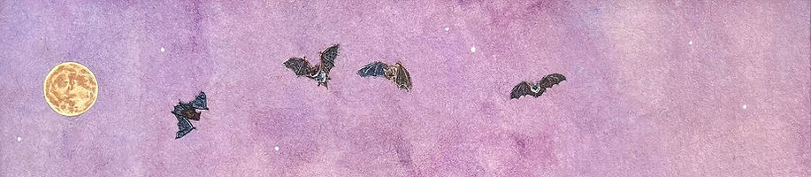 twilight pollinators banner