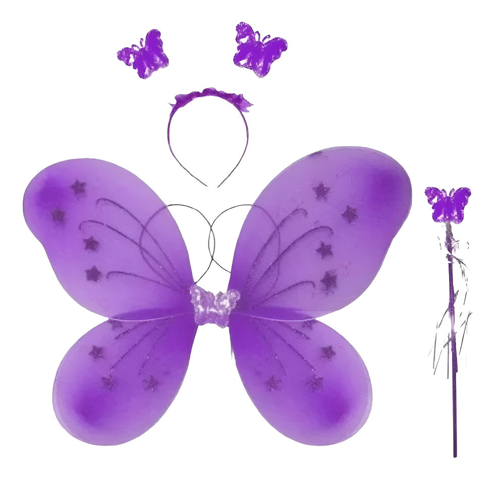 Kit Asa Borboleta Fada Fantasia Infantil Festa Infantil(roxo,único)